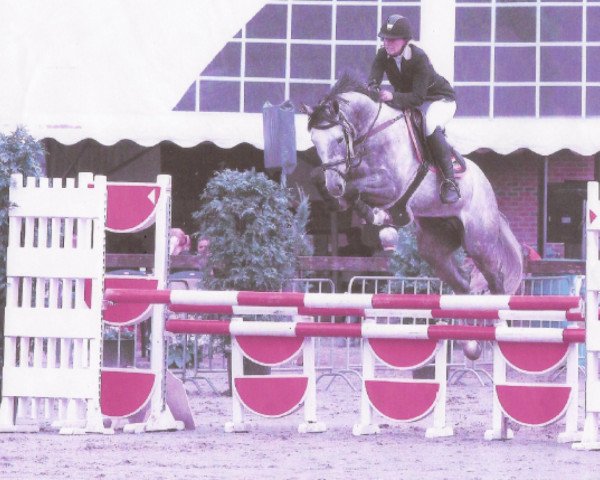 jumper Dolman (KWPN (Royal Dutch Sporthorse), 2008, from Colman)