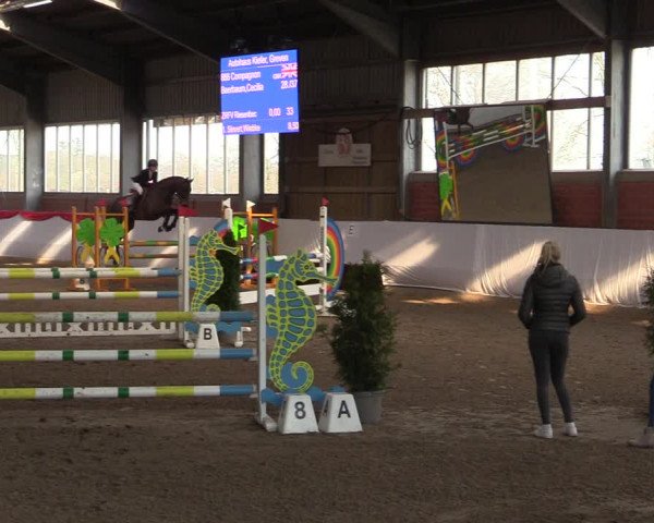 Reitturnier Greven 2022