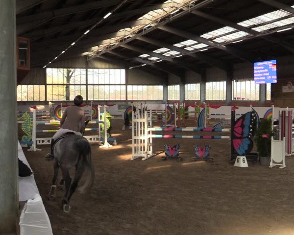 Reitturnier Greven 2022