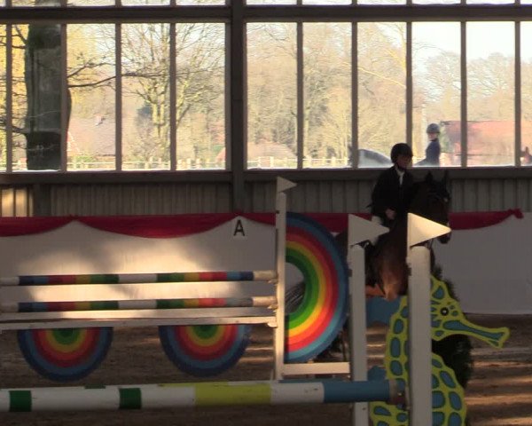 Reitturnier Greven 2022