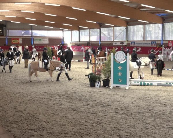 Reitturnier Kaldenkirchen - Gestüt Seehof 2022