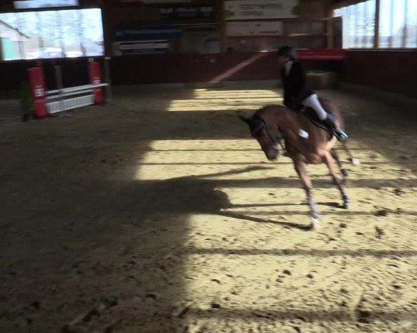Reitturnier Coesfeld-Lette 2022