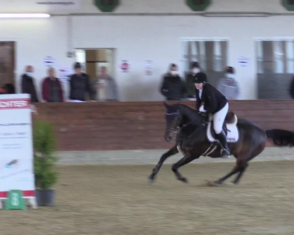 Reitturnier Coesfeld-Lette 2022