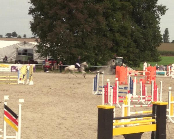 Springreitturnier Hohburg 2021