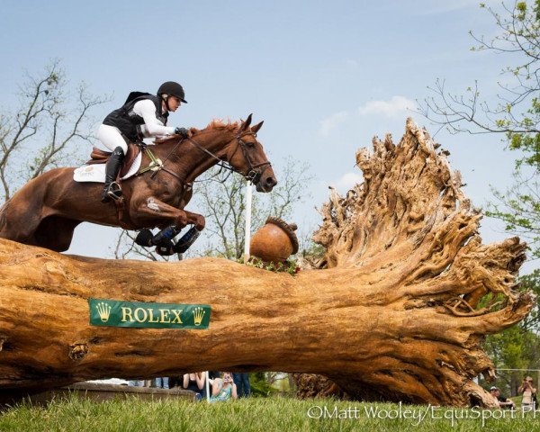 horse Demeter (Oldenburg, 2002, from Rubin Royal OLD)