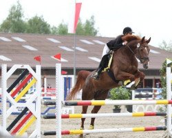 jumper Seute Deern 32 (Hanoverian, 2004, from Stolzenberg)