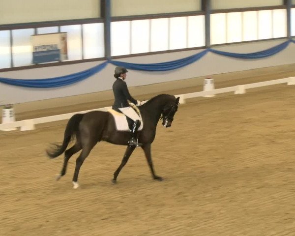 Reitturnier Buchs 2022