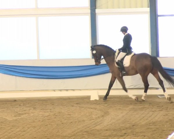 Reitturnier Buchs 2022