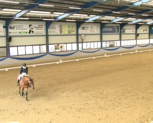 Reitturnier Buchs 2022