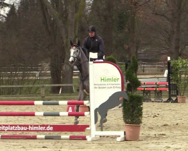 Reitturnier Münster-Handorf | Late Entries 2022