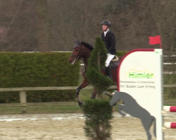 Reitturnier Münster-Handorf | Late Entries 2022