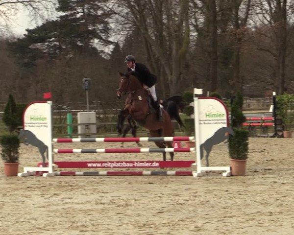 Reitturnier Münster-Handorf | Late Entries 2022