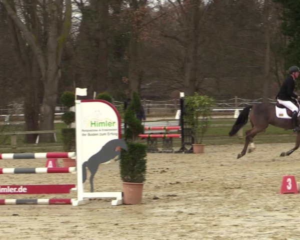 Reitturnier Münster-Handorf | Late Entries 2022