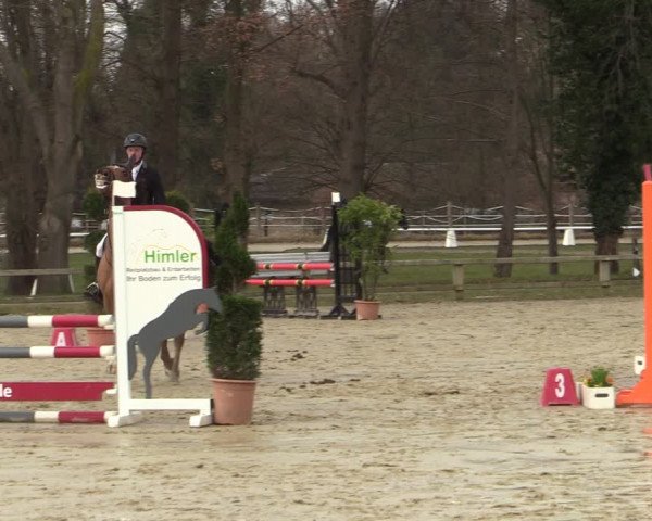 Reitturnier Münster-Handorf | Late Entries 2022