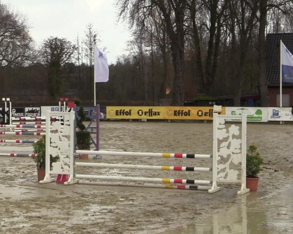 Reitturnier Münster-Handorf | Late Entries 2022