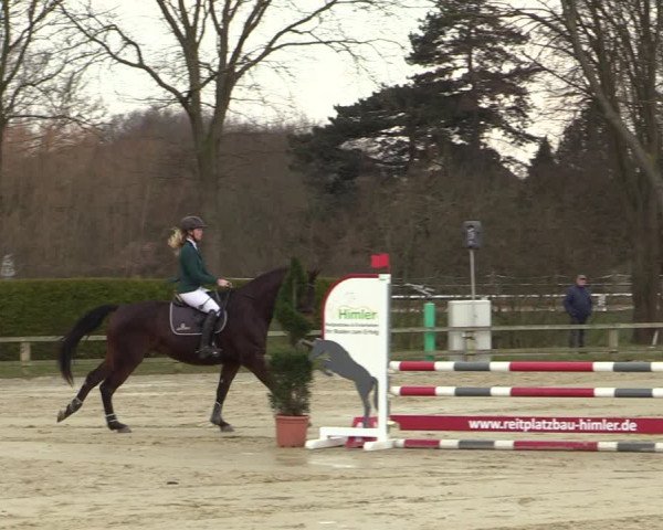 Reitturnier Münster-Handorf | Late Entries 2022