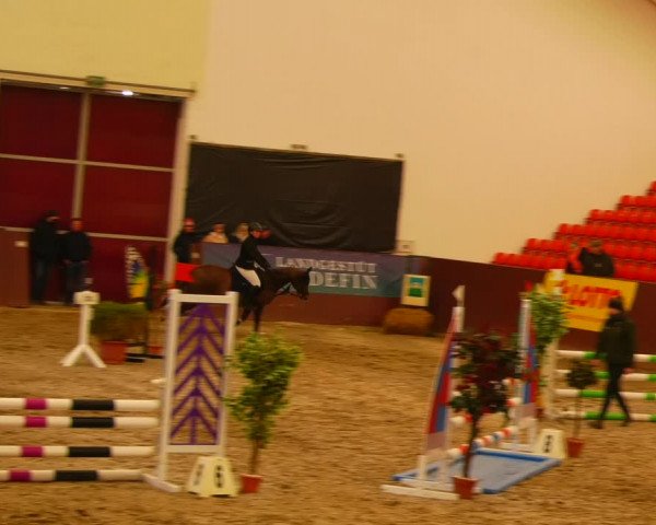 Reitturnier Redefin 2022
