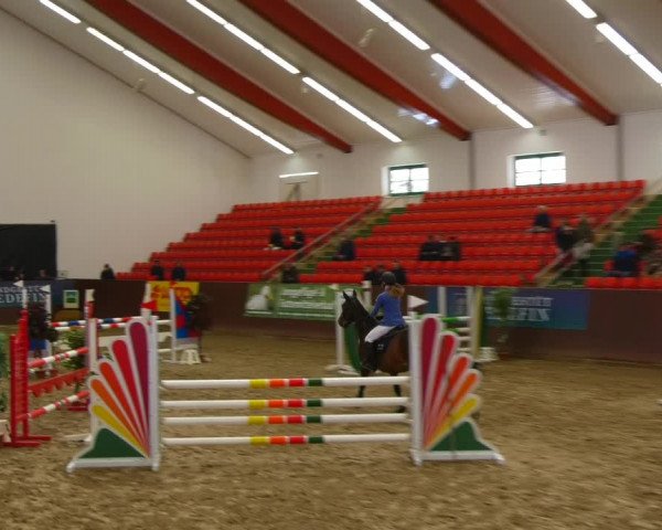 Reitturnier Redefin 2022