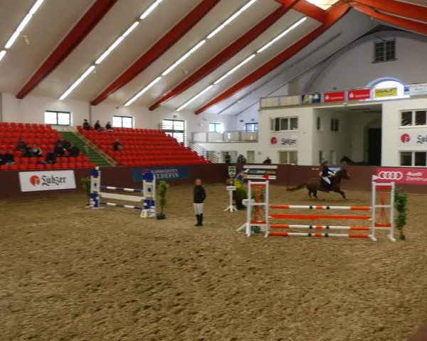 Reitturnier Redefin 2022