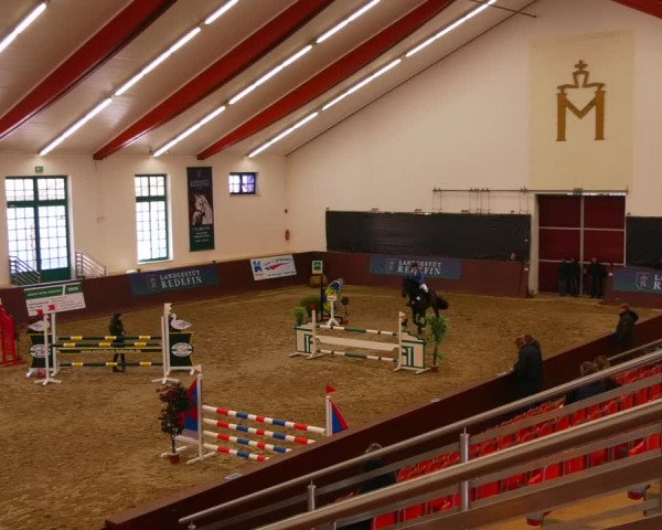 Reitturnier Redefin 2022