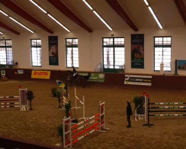 Reitturnier Redefin 2022