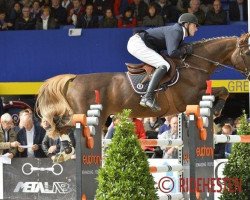 stallion Riesling du Monselet (Belgium Sporthorse, 2001, from Kashmir van't Schuttershof)