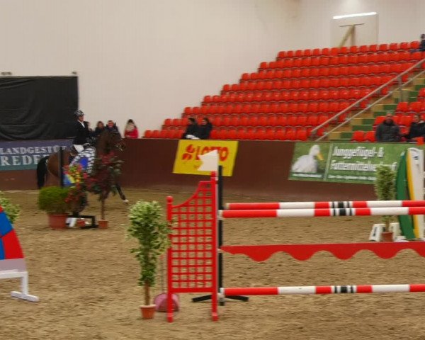 Reitturnier Redefin 2022