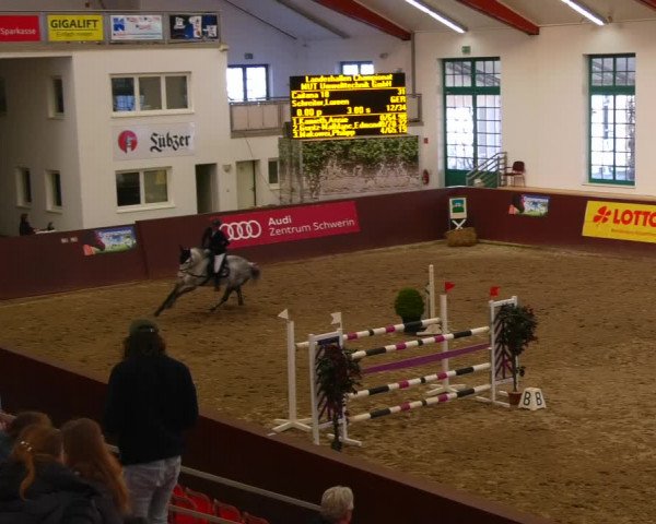 Reitturnier Redefin 2022