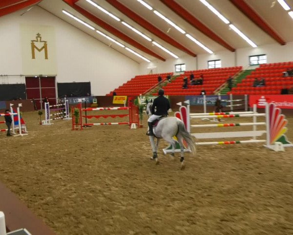 Reitturnier Redefin 2022