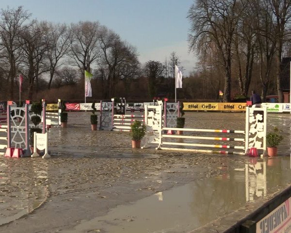 Reitturnier Münster-Handorf | Late Entries 2022