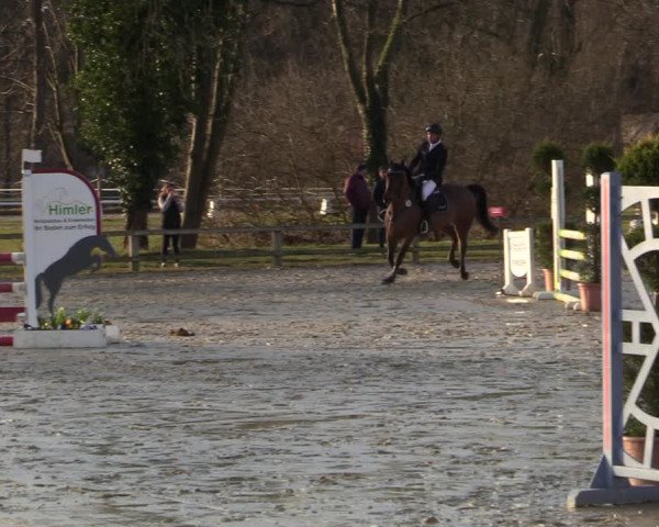 Reitturnier Münster-Handorf | Late Entries 2022