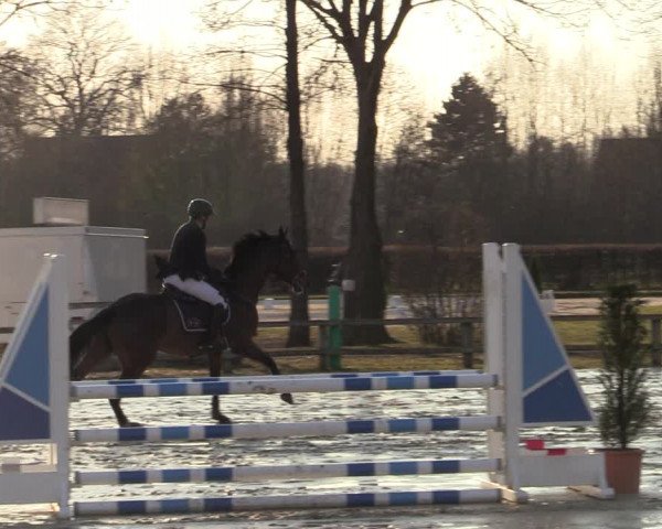 Reitturnier Münster-Handorf | Late Entries 2022