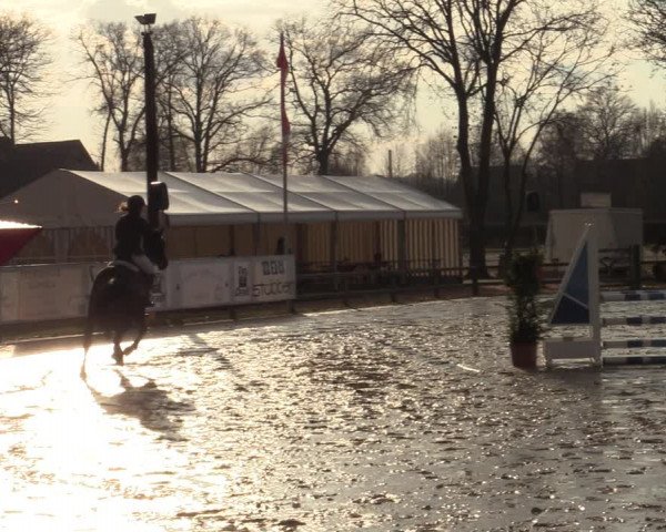 Reitturnier Münster-Handorf | Late Entries 2022