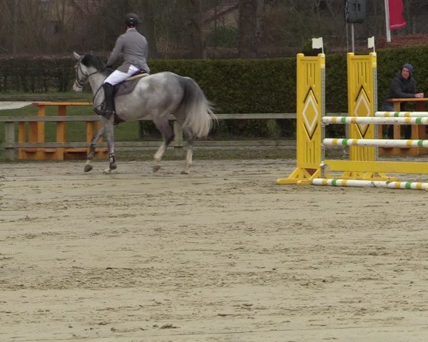 Reitturnier Münster-Handorf | Late Entries 2022