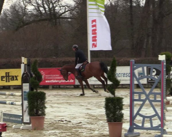 Reitturnier Münster-Handorf | Late Entries 2022