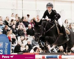 jumper Dunally Black Jack (Irish Sport Horse, 2006)