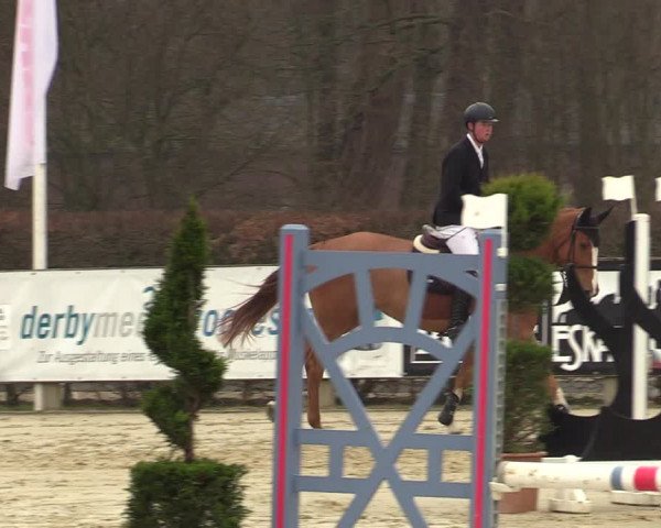 Reitturnier Münster-Handorf | Late Entries 2022