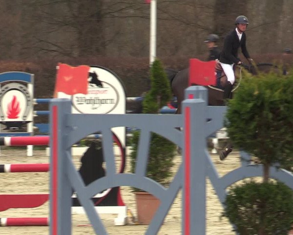 Reitturnier Münster-Handorf | Late Entries 2022
