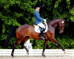 broodmare Sweety PR (Oldenburg, 2008, from Swarovski)