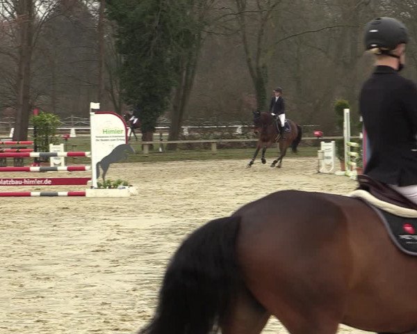 Reitturnier Münster-Handorf | Late Entries 2022