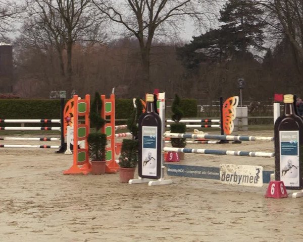 Reitturnier Münster-Handorf | Late Entries 2022