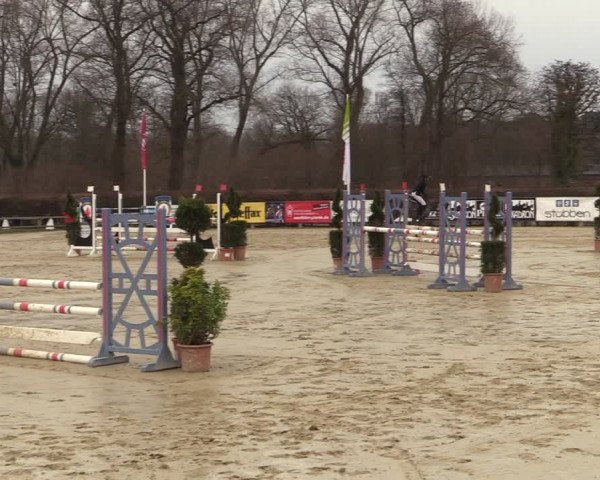 Reitturnier Münster-Handorf | Late Entries 2022