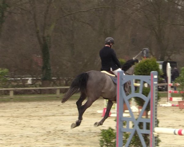 Reitturnier Münster-Handorf | Late Entries 2022