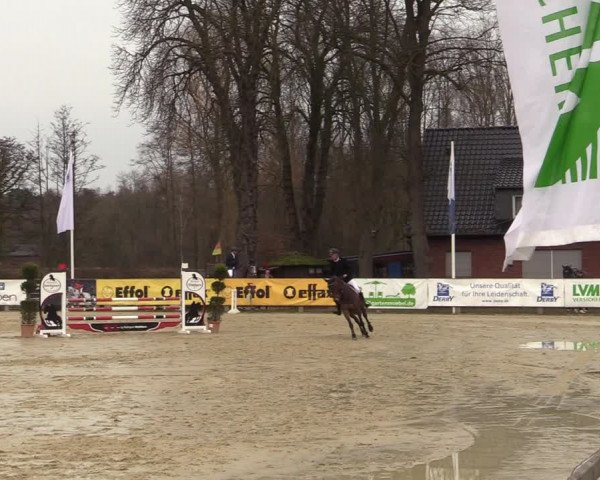 Reitturnier Münster-Handorf | Late Entries 2022