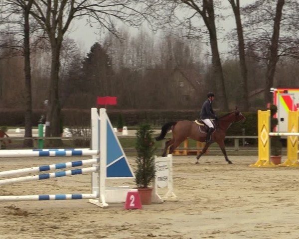 Reitturnier Münster-Handorf | Late Entries 2022
