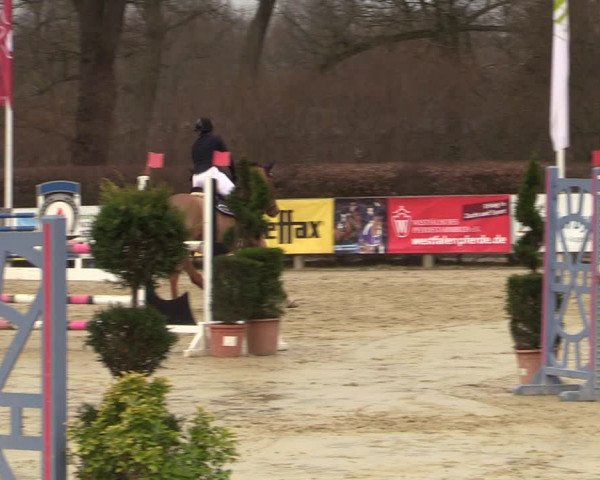 Reitturnier Münster-Handorf | Late Entries 2022