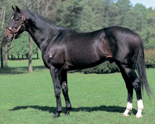 stallion Dance In The Dark xx (Thoroughbred, 1993, from Sunday Silence xx)