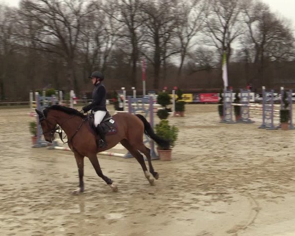 Reitturnier Münster-Handorf | Late Entries 2022