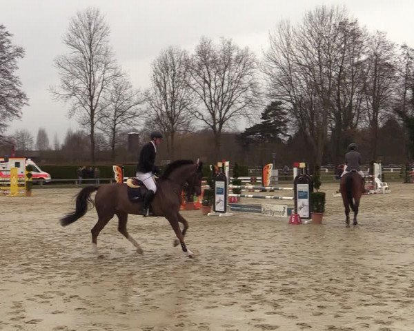 Reitturnier Münster-Handorf | Late Entries 2022