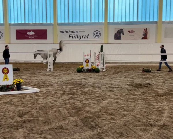Video von Django